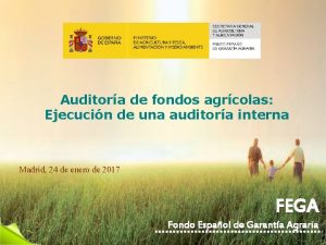 Auditora de fondos agrcolas Ejecucin de una auditora