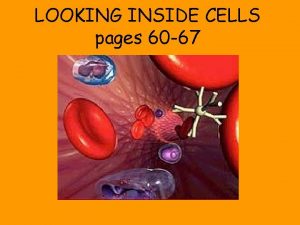 LOOKING INSIDE CELLS pages 60 67 RECALL All