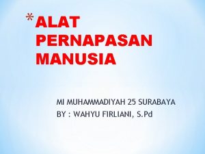 ALAT PERNAPASAN MANUSIA MI MUHAMMADIYAH 25 SURABAYA BY