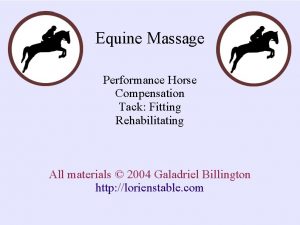 Equine Massage Performance Horse Compensation Tack Fitting Rehabilitating