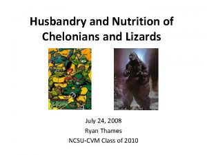 Husbandry and Nutrition of Chelonians and Lizards July