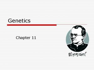 Genetics Chapter 11 History of Genetics o Gregor