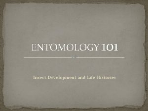 ENTOMOLOGY 101 Insect Development and Life Histories Insect