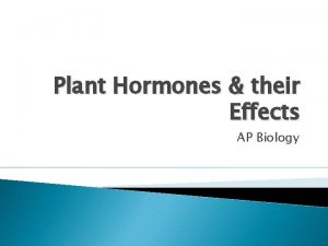 Plant Hormones their Effects AP Biology Auxin Found