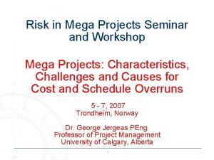 Risk in Mega Projects Seminar and Workshop Mega