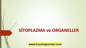 STOPLAZMA ve ORGANELLER www biyolojiportali com STOPLAZMA Hcre