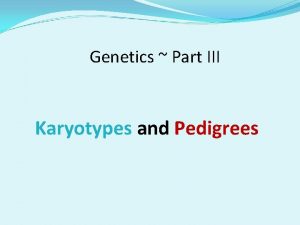 Genetics Part III Karyotypes and Pedigrees Karyotype a