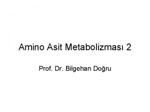 Valin lösin izolösin metabolizması