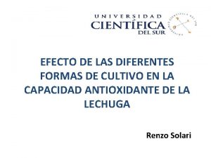 EFECTO DE LAS DIFERENTES FORMAS DE CULTIVO EN