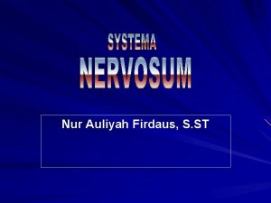 Nur Auliyah Firdaus S ST SISTEMA NERVOSUM nervus