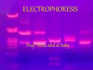 ELECTROPHORESIS Prof Azza abd al baky Electrophoresis Electrophoresis