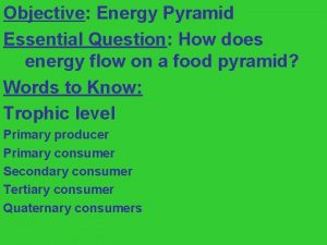 Energy pyramid drawing