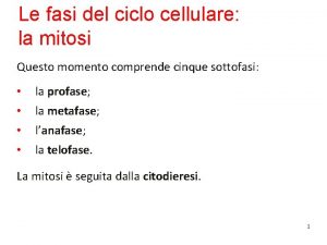 Le fasi del ciclo cellulare la mitosi Questo