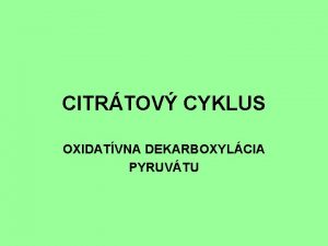 CITRTOV CYKLUS OXIDATVNA DEKARBOXYLCIA PYRUVTU Pvod acetylCo A