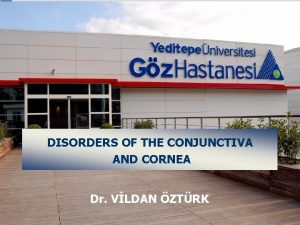 YEDTEPE NVERSTES GZ HASTANES DISORDERS OF THE CONJUNCTIVA