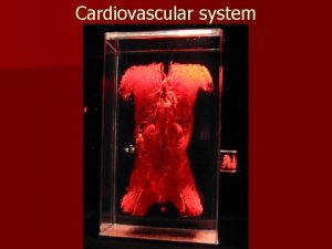 Cardiovascular system The Cardiovascular System n A closed