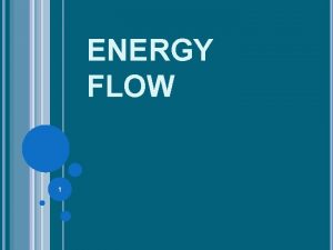 What is energy flow in a food chain