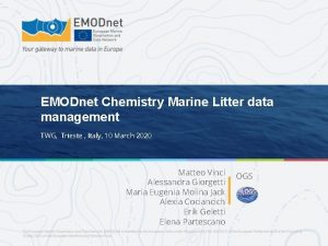 EMODnet Chemistry Marine Litter data management TWG Trieste