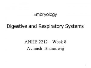 Embryology Digestive and Respiratory Systems ANHB 2212 Week