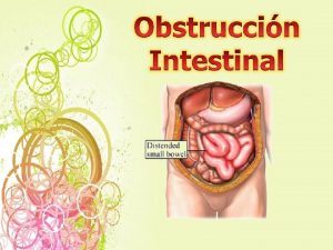 Definicin de Obstruccin Intestinal La obstruccin u oclusin