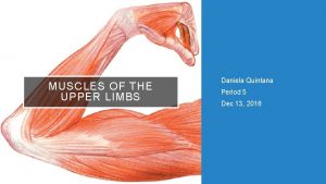 MUSCLES OF THE UPPER LIMBS Daniela Quintana Period