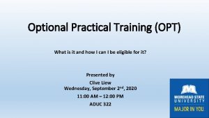 Optional Practical Training OPT What is it and