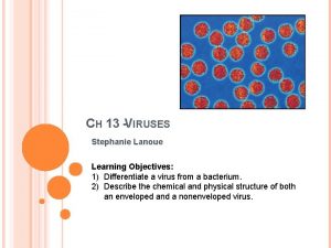 CH 13 VIRUSES Stephanie Lanoue Learning Objectives 1