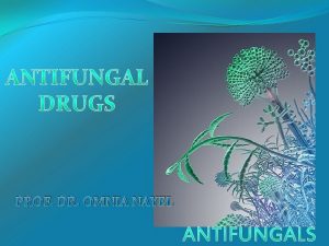 PROF DR OMNIA NAYEL IL Os Revisit fungal