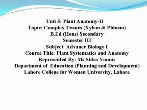 Unit 5 Plant AnatomyII Topic Complex Tissues Xylem