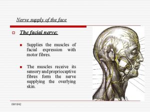 Nerve supply of the face o The facial