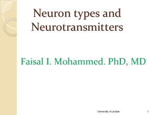 Neuron types and Neurotransmitters Faisal I Mohammed Ph