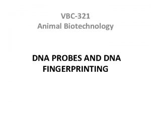 VBC321 Animal Biotechnology DNA PROBES AND DNA FINGERPRINTING
