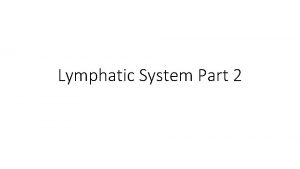 Lymphatic System Part 2 Lymphatic System Organization Lymphoid