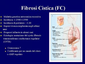 Calcolo fabbisogno calorico giornaliero