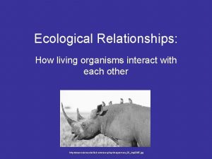 Ecological Relationships How living organisms interact with each