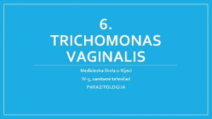 6 TRICHOMONAS VAGINALIS Medicinska kola u Rijeci IV5