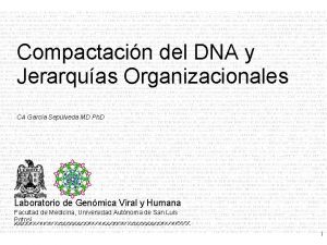 Compactacin del DNA y Jerarquas Organizacionales CA Garca