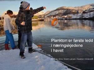 Næringskjede i havet
