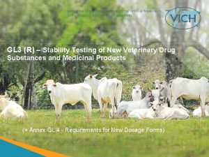 GL 3 R Stability Testing of New Veterinary