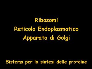 Ribosomi Reticolo Endoplasmatico Apparato di Golgi Sistema per