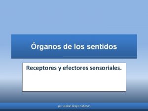 rganos de los sentidos Receptores y efectores sensoriales