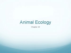 Animal Ecology Chapter 38 Ecology Ecology investigates the