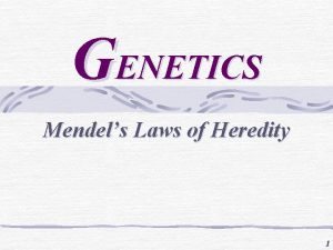 GENETICS Mendels Laws of Heredity 1 Mendels Law