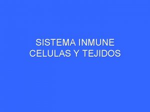 Sistema mononuclear fagocítico