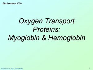 Biochemistry 3070 Oxygen Transport Proteins Myoglobin Hemoglobin Biochemistry