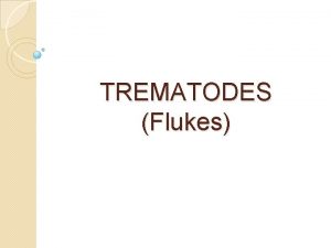 TREMATODES Flukes Common features They are flat provided