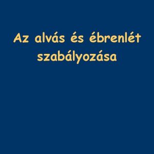 Az alvs s brenlt szablyozsa 334 Az alvs