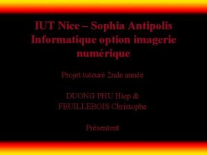 IUT Nice Sophia Antipolis Informatique option imagerie numrique