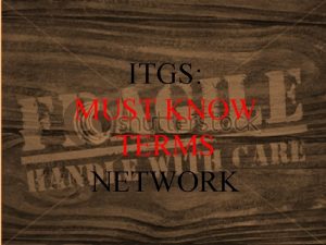 ITGS MUST KNOW TERMS NETWORK Internet Global system