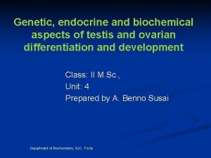 Genetic endocrine and biochemical aspects of testis and